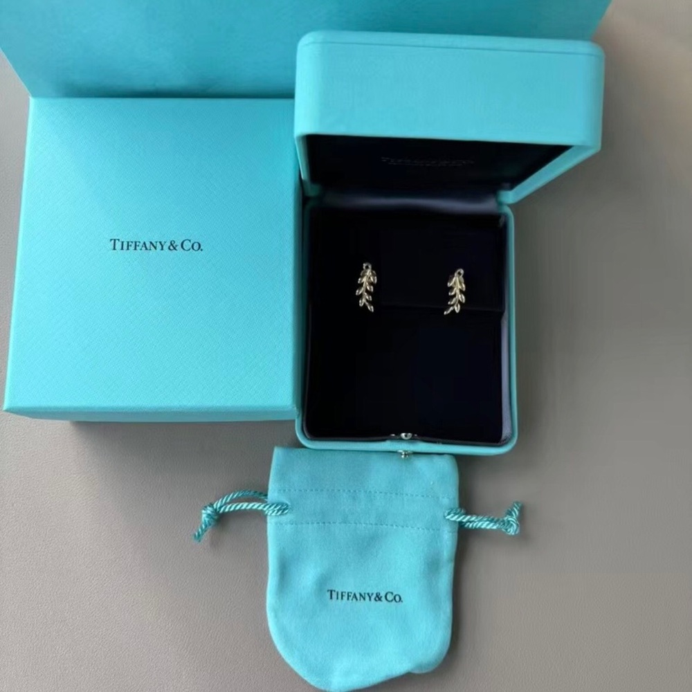 Tiffany & Co. Elegant Silver Leaf Earrings